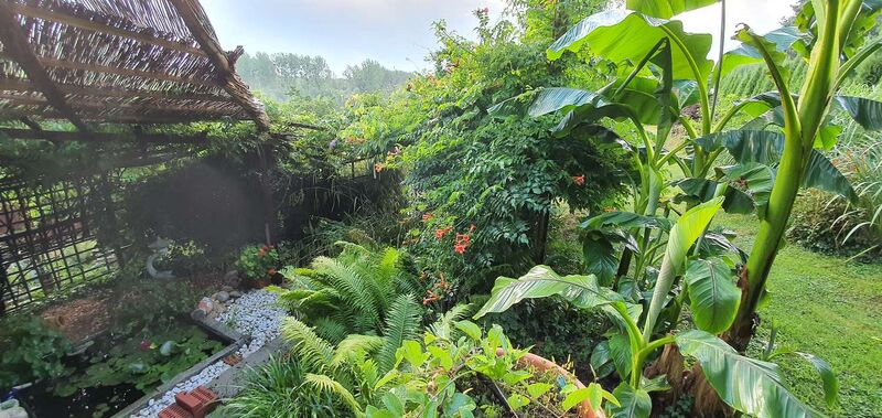 Schönster Garten 2021 - Kurt aus Amstetten