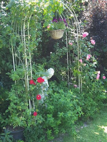 Schönster Garten 2021 - Therese aus Perg