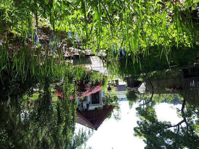 Schönster Garten 2021 - Johann aus Urfahr-Umgebung