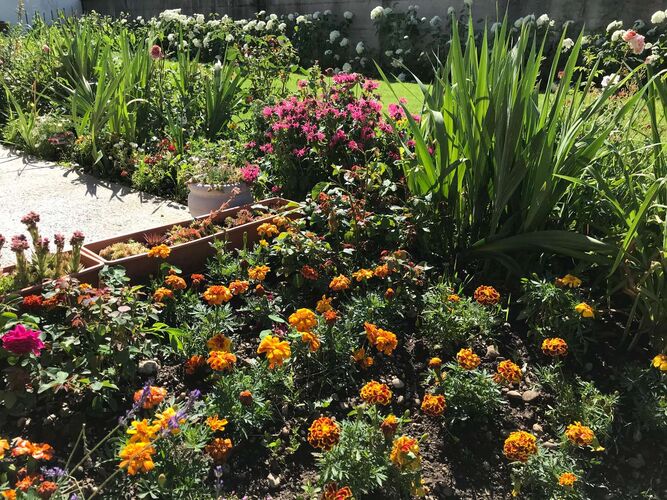 Schönster Garten 2021 - Senija aus Wels