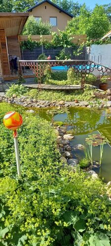 Schönster Garten 2021 - Brigitte aus Wels