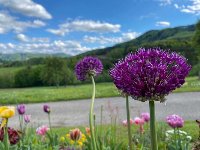 Schönster Garten 2021 - Katharina aus Scheibbs