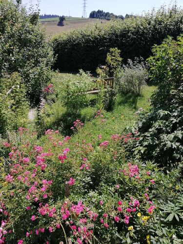 Schönster Garten 2021 - Renate aus Grieskirchen