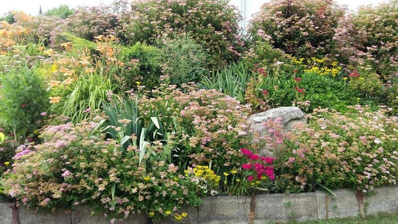 Schönster Garten 2021 - Anton aus Rohrbach