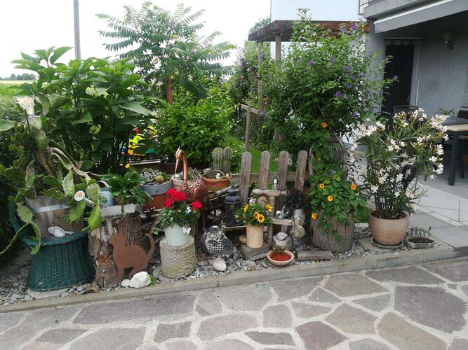 Schönster Garten 2021 - Günter aus Grieskirchen