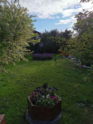 Schönster Garten 2021 - Marcus  aus Kirchdorf