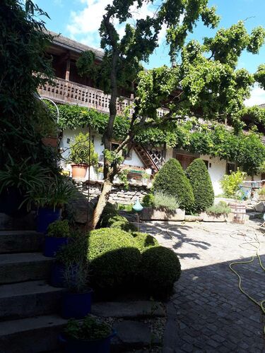 Schönster Garten 2021 - Andrea aus Rohrbach