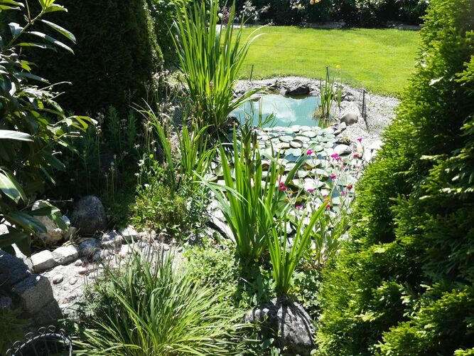 Schönster Garten 2021 - Helmut aus Linz-Land