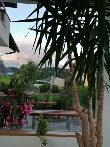 Schönster Garten 2021 - Erika  aus Rohrbach