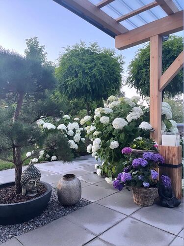 Schönster Garten 2021 - Isabella  aus Perg