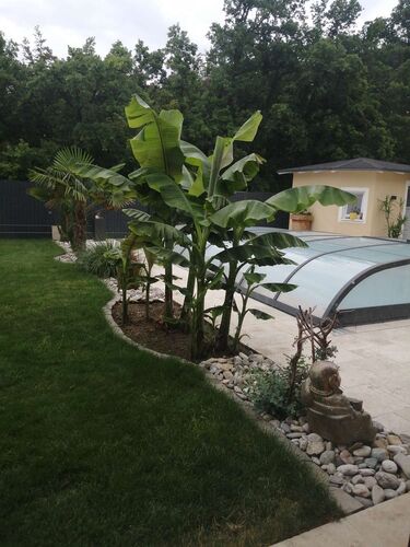 Schönster Garten 2021 - Stefanie aus Steyr