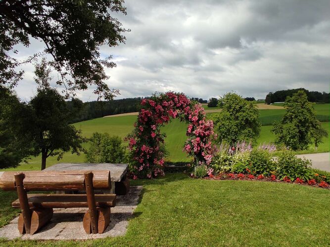 Schönster Garten 2021 - Bettina aus Rohrbach