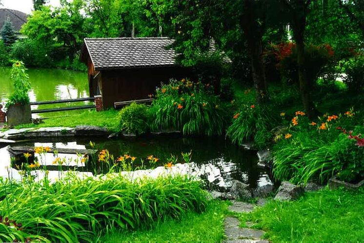 Schönster Garten 2021 - Familie Weitgasser aus Linz-Land