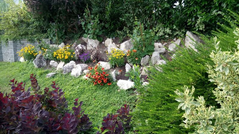 Schönster Garten 2021 - Fritz aus Grieskirchen