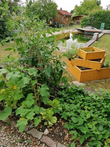 Schönster Garten 2021 - Karin aus Amstetten