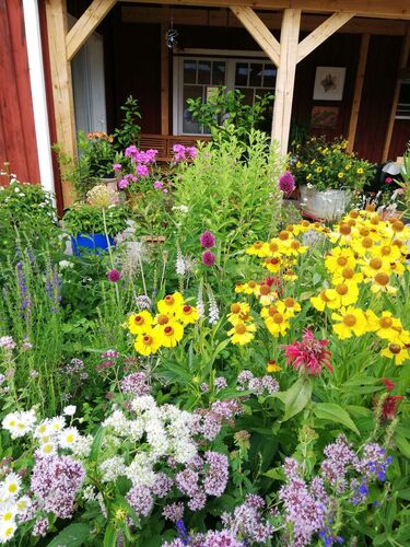 Schönster Garten 2021 - Ingrid  aus Braunau