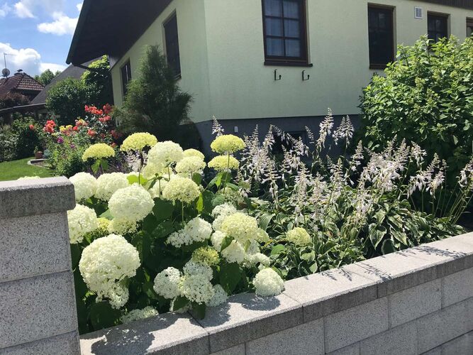 Schönster Garten 2021 - Erich aus Ried