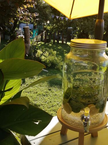 Schönster Garten 2021 - Michaela aus Linz