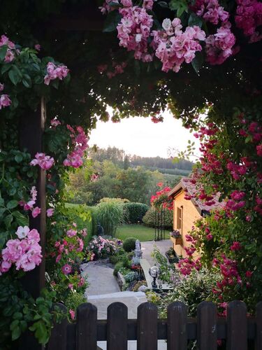 Schönster Garten 2021 - Peter aus Steyr