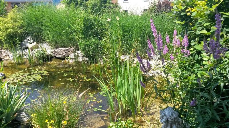 Schönster Garten 2021 - Juliane aus Schärding