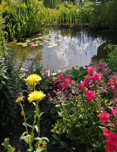 Schönster Garten 2021 - Patricia aus Braunau