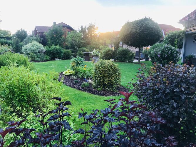 Schönster Garten 2021 - Johannes aus Amstetten