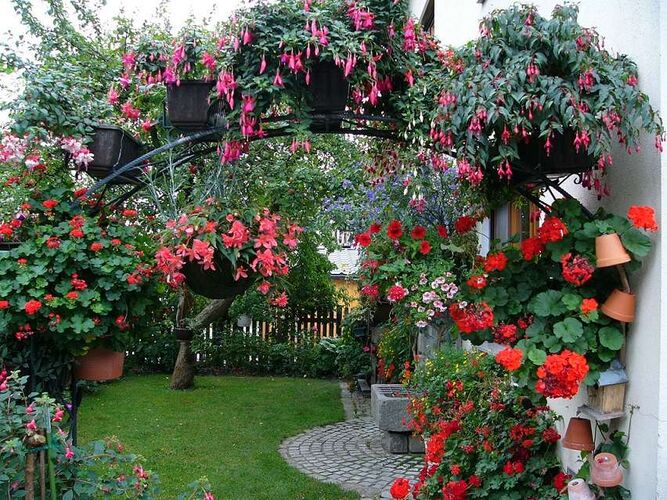 Schönster Garten 2021 - Hans aus Vöcklabruck