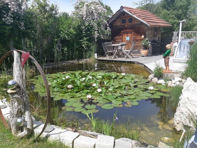 Schönster Garten 2021 - Josef  aus Vöcklabruck