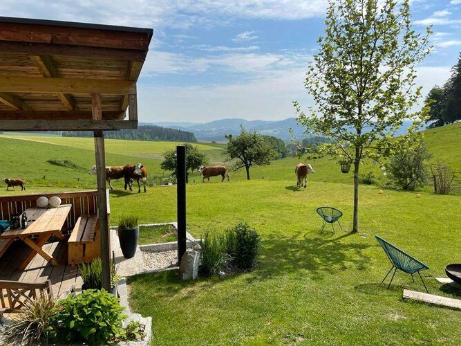 Schönster Garten 2021 - Christina  aus Freistadt