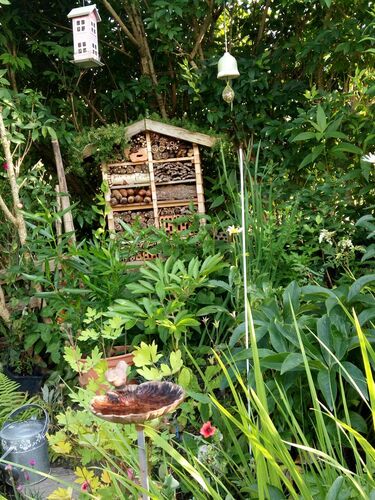 Schönster Garten 2021 - Sonjä aus Ried