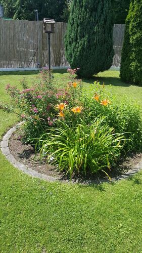 Schönster Garten 2021 - Sabine aus Braunau