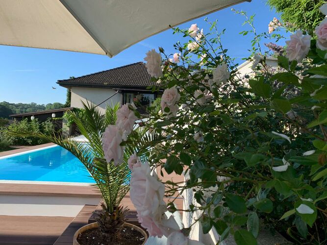 Schönster Garten 2021 - Claudia aus Wels