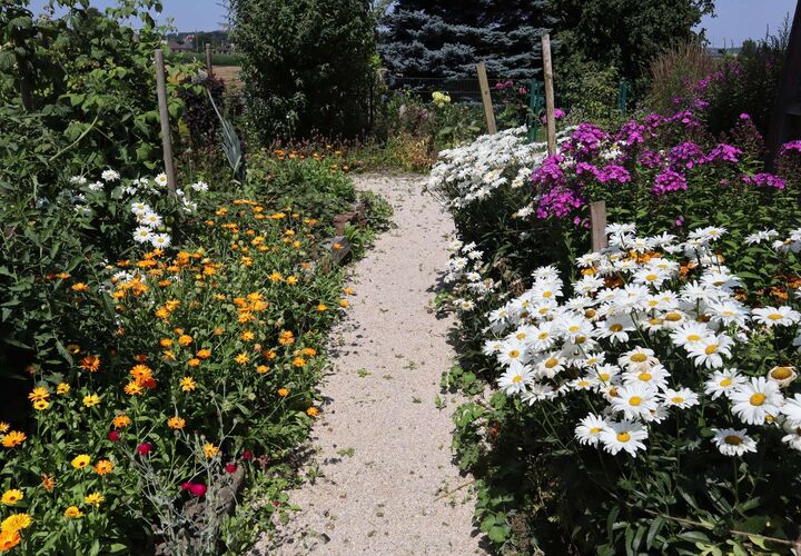 Schönster Garten 2021 - Laura aus Steyr