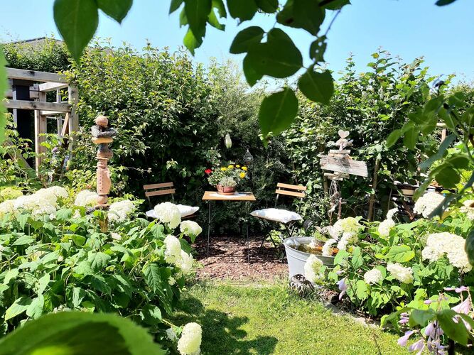 Schönster Garten 2021 - Herbert aus Kirchdorf