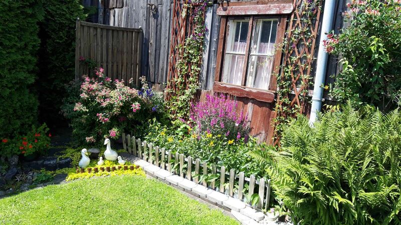 Schönster Garten 2021 - Helga  aus Vöcklabruck