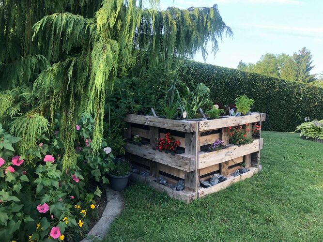 Schönster Garten 2021 - Gertraud aus Ried