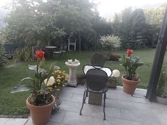 Schönster Garten 2021 - Ingrid  aus Schärding