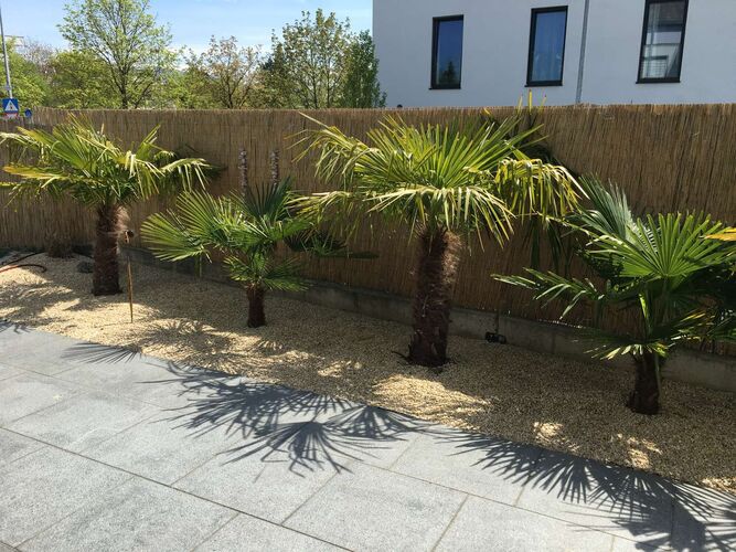 Schönster Garten 2021 - Markus aus Linz