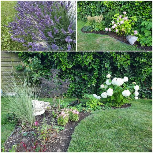 Schönster Garten 2021 - Dietmar  aus Wels