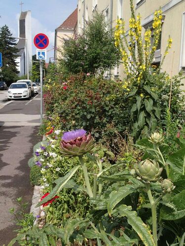 Schönster Garten 2021 - Klaus aus Linz