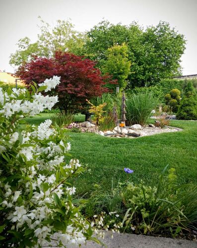 Schönster Garten 2021 - Rudolf aus Steyr