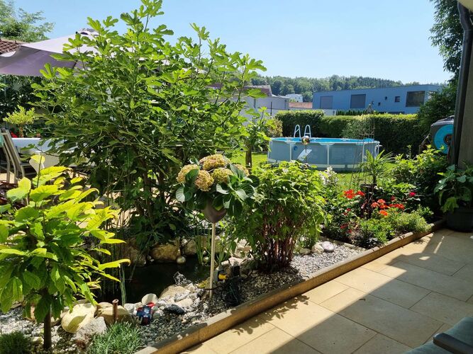 Schönster Garten 2021 - Sabrina aus Linz-Land