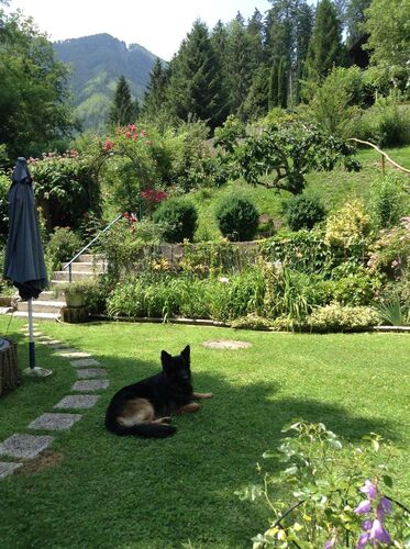 Schönster Garten 2021 - Eva aus Steyr