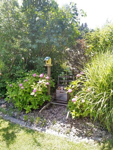 Schönster Garten 2021 - Bernhard aus Vöcklabruck