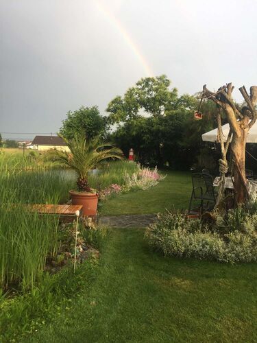 Schönster Garten 2021 - Petra  aus Braunau