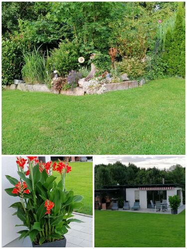 Schönster Garten 2021 - Gerlinde aus Ried