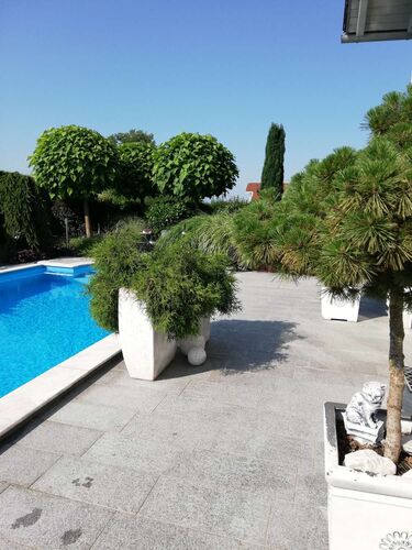 Schönster Garten 2021 - Anna aus Steyr