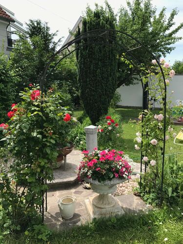 Schönster Garten 2021 - Solweig aus Wels