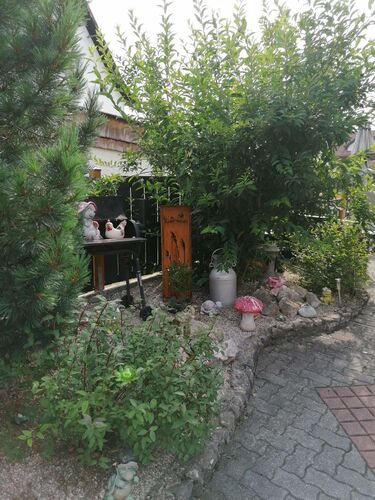 Schönster Garten 2021 - Axel aus Vöcklabruck