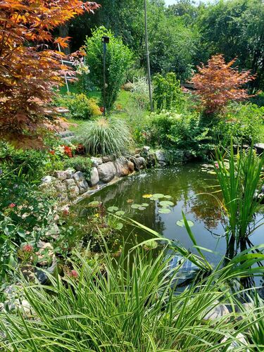 Schönster Garten 2021 - Alfred aus Linz-Land